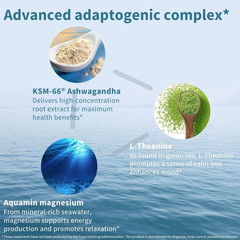 Igennus High Strength Ashwagandha Stress Relief Complex, L-Theanine & Magnesi…