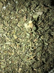 Damiana & Catnip WHOLESALE BULK Herbal Leaf Natural Blend Mix Tea – 5 lb Pounds