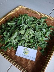 Daun Bayam Duri – Dried Amaranthus spinosus
