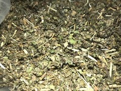 No.16 Herbal Blend – skullcap damiana passionflower marshmallow mullein