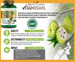 Graviola Extract 2500 mg 240 Capsules, Gluten Free, Soursop, in 2 pack