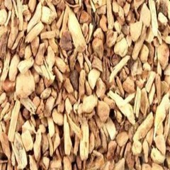 SARSAPARILLA ROOT Wild Crafted Harvested 100 Vegetable Capsules