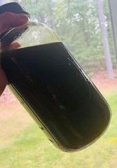 Oil of Oregano Organic Wild Crafted in Maine Powerful & Potent Anti Viral