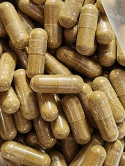 Soursop [Graviola Leaf] Powder Capsules – Made Fresh On Demand!