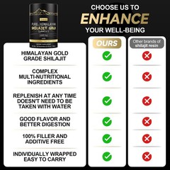 Grevol Himalayan Shilajit Gummies: Gold Grade 60 Count (Pack of 1)