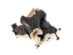 White Fungus Tremella 1/4/8oz – Dried Pieces | Skin & Immune Support