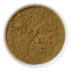 Ajmod Celery Wild Celery Ugragandhika Apium Graveolens