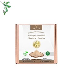 Shatavari Powder Asparagus Racemosus Indian Organic Free Shipping 100gm