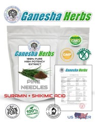 ORGANIC PINE NEEDLE 10:1 EXTRACT POWDER (SURAMIN SHIKIMIC ACID) 100 GRAMS!