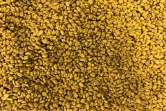 Organic ِEgyptian Premium Fenugreek Seed Methi Trigonella foenum graecum حلبة
