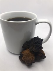 Michigan Chaga Great Lakes Treats 12oz size wild foraged