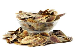 WHOLESALE!! CULINARY SENNA PODS WHOLE DRIED NON-GMO BULK HERB-1,2,3,4,5 LBS