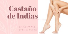 Premium Castano de Indias Para la Circulacion 1500 mg – Horse Chestnut 90 Caps