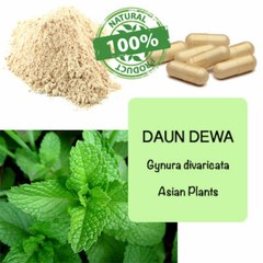 CAPSULES Gynura Divaricata Leaves Daun Dewa PURE Organic Wild Crafted Herbs WW