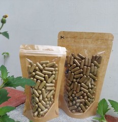 [idHerb] CAPSULES ZIZPHUS MAURUTIANA DAUN BIDARA ARAB NATURAL ORGANIC HERBAL
