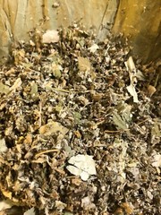 No.36 Mix Lotus Leaf Catnip Mullein Passionflower Poppy Jujube Cinquefoil – 1 oz