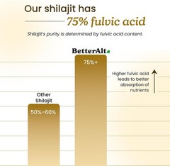 Better Alt Pure Himalayan Shilajit Resin Pack of 1 High Potency Gold Grade (New)