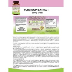 Mushroom Complex Immune Support Forskolin Extract Weight Management 60 Softgels