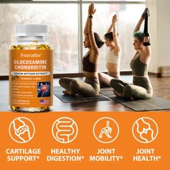 Glucosamine Chondroitin Turmeric MSM Joint Support – 120 Caps