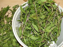 Dried Organic POMEGRANATE Leaves:Detox,Cleanse&,Strengthen Immune,fight disease