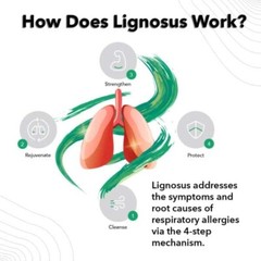 Lignosus: The Best Natural Lung Supplement – 30 Sachet Box – Fast Ship in USA