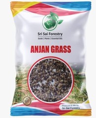 Super Napier Grass Anjan Grass Seebs 100 gram Each High Protein Grass Cattle++