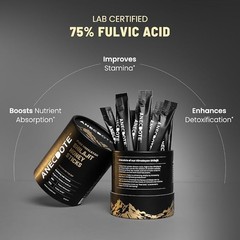 Himalayan Shilajit Honey Sticks with Organic Honey Saffron | Boosts Stamina …