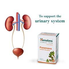 Himalaya Punarnava Tablets 5 Box 60 Tabs Each FREE SHIP Exp 2028