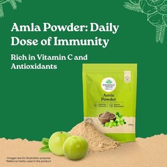 Organic India Amla Powder, 200g (FREE SHIPPING)
