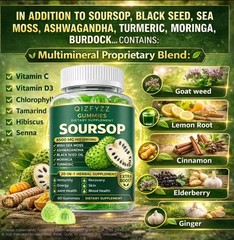 2 PCS Summervibes Qizfyzz Soursop Gummies 20-in-1 Herbal Complex Sea Moss 60ct