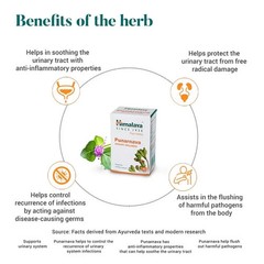 Himalaya Punarnava 60 Tabs Herbal Kidney Wellness Fluid Balance Support 10 Pack