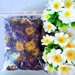 Blue Lotus Flower Organic Ceylon Nymphaea Caerulea All Natural Thai Herbal Drink