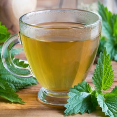 Nettle Leaf Tea Bags Mega-Pack (100) Premium Caffeine-Free Herbal Leaf Tea bags