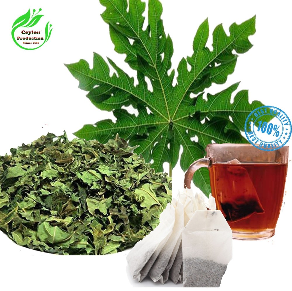 Organic Papaya Leaves Tea Bags Natural Carica Papaya Herbal Infusion