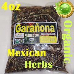 Garañona Garanona,Paintedcup herbs,Castilleja tenuiflora,Painted cup Herb/tea !