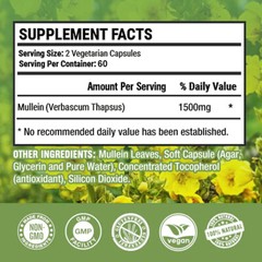 Mullein Capsules 1500 Mg | 120 Capsules | Mullein | Antioxidants