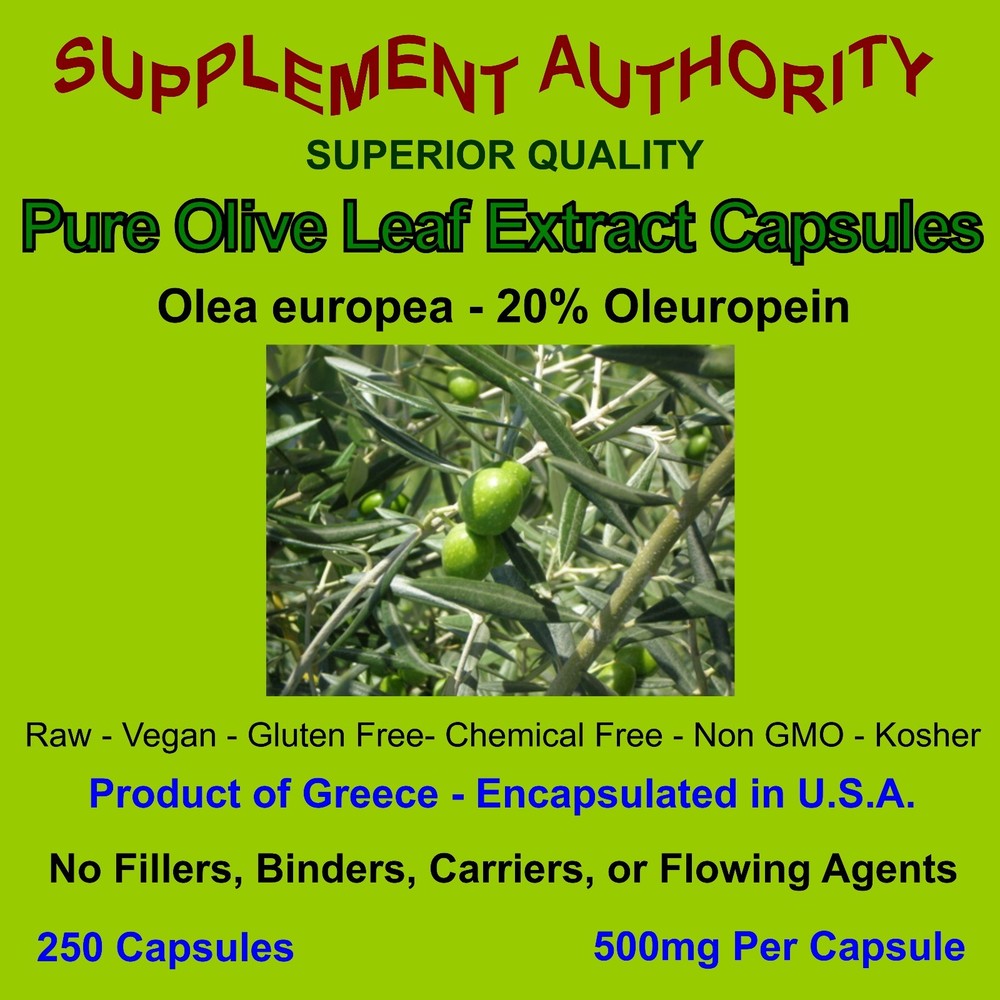 Olive Leaf Extract Powder Capsules – 20% Oleuropein ~ NEW AND IMPROVED! ~ FRESH!
