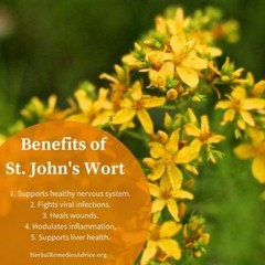 natural anti-depressant – St. John’s Wort Extract 475mg – anxiety support 2B