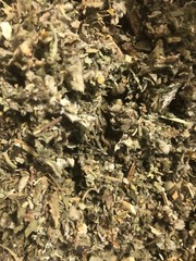 Marshmallow Mullein Peppermint Damiana Raspberry Passionflower – No.34 Mixture