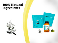 DR WAKDE’S Kalmegh Powder (Andrographis panniculata) | Pure, Raw & Dried Powd…