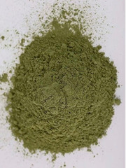 70 g Pure Yemeni Sidr Leaf Powder سدر يمني نقي وعضوي للعناية بالبشرة والشعر