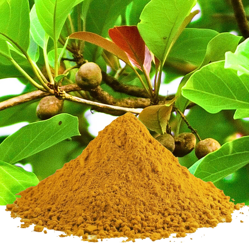 Beleric Myrobalan Powder | Baheda Bibhitaki | Natural Organic Herbal Supplement