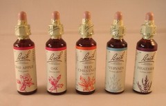 Bach Flower Remedies, Clematis 20ml. BBE 12/2029