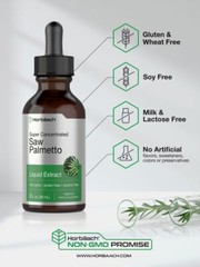 Saw Palmetto Liquid Extract | 2 fl oz | Alcohol Free | Vegeterian | by Horbaach