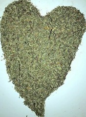 DAMIANA ORGANIC bulk cut c/s herb natural leaves wholesale 4 lbs pound
