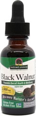 Black Walnut Hull 2000 mg – Alcohol-Free Natural Cleanser for Digestive Health