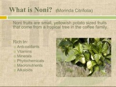 parasite and worm cleanse – ANTIPARASITE – NONI COMBO 2B – papaya extract