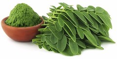 Moringa Oleifera Powder Extract 1200mg Anti-Aging Weight Loss 120 Capsules 2 Bot