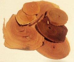 8 oz. Tongkat Slices Red (Stema tuberosa) Wildharvested Indonesia