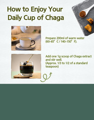 WellRus Premium Freeze-Dried Siberian Chaga Extract Powder
